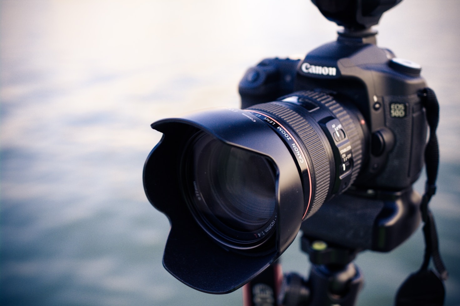 Why Specialized Hosting Matters for Photographers
