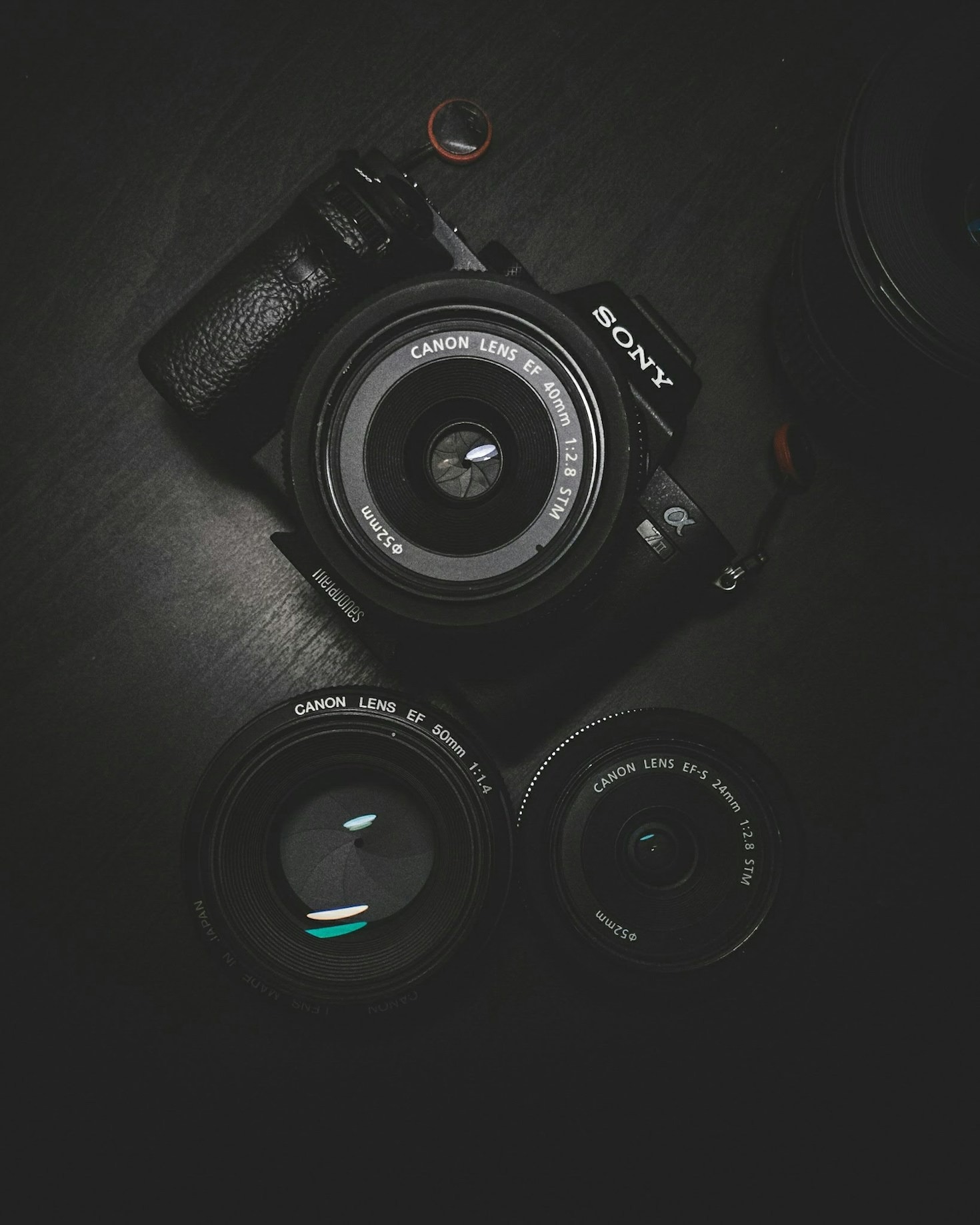 Comparing Hosting Features Every Photographer Should Know