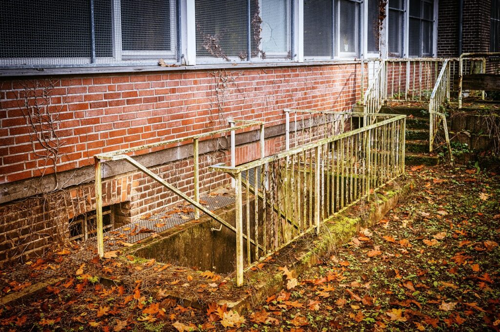 How to Set Up a Basement Grow That Actually Works