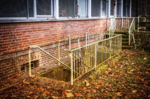 How to Set Up a Basement Grow That Actually Works