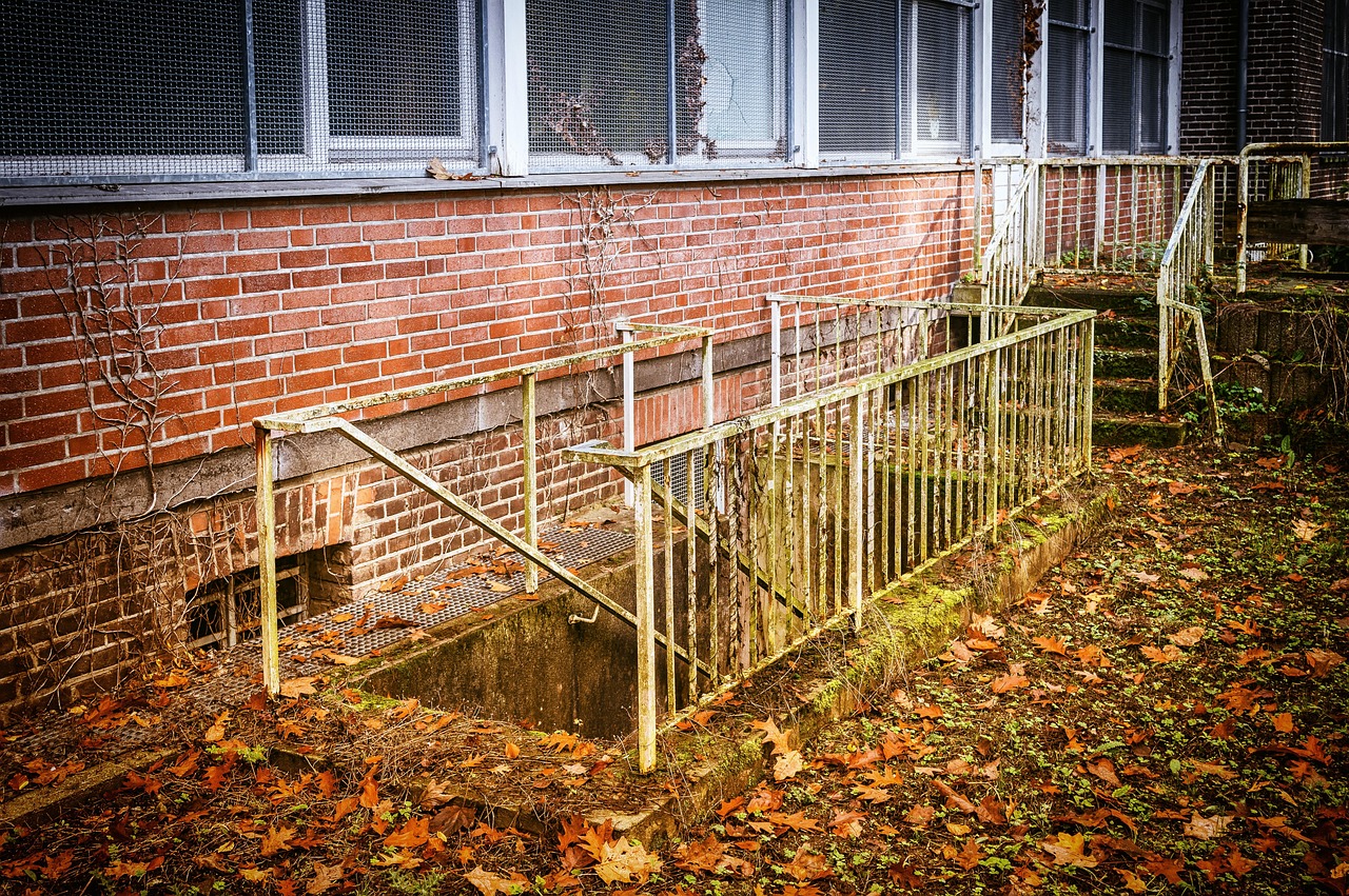 Hydroponics for Small Spaces: How to Set Up a Basement Grow That Actually Works How to Set Up a Basement Grow That Actually Works