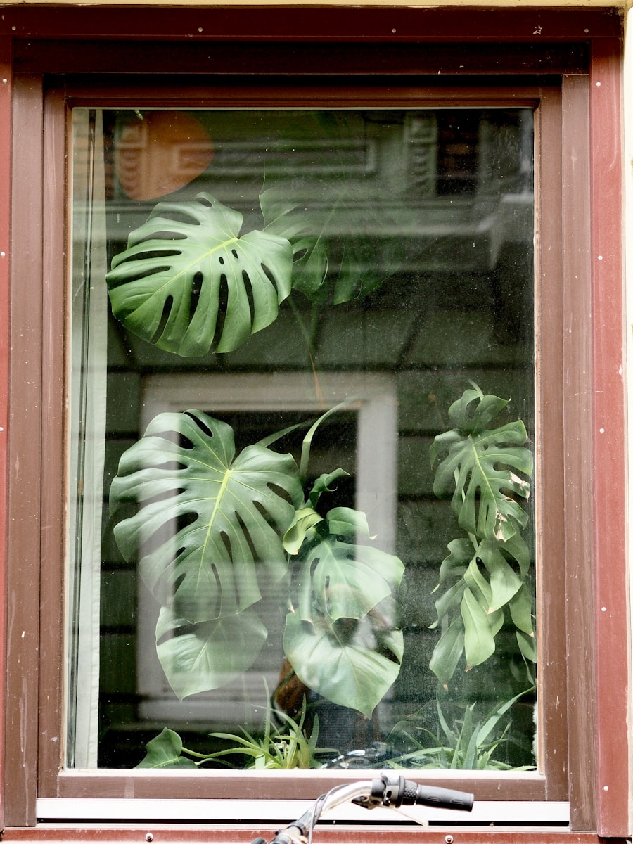 Hydroponic Gardening Without a Dedicated Space: Countertops and Windowsills Hydroponic Gardening Without a Dedicated Space: Countertops and Windowsills