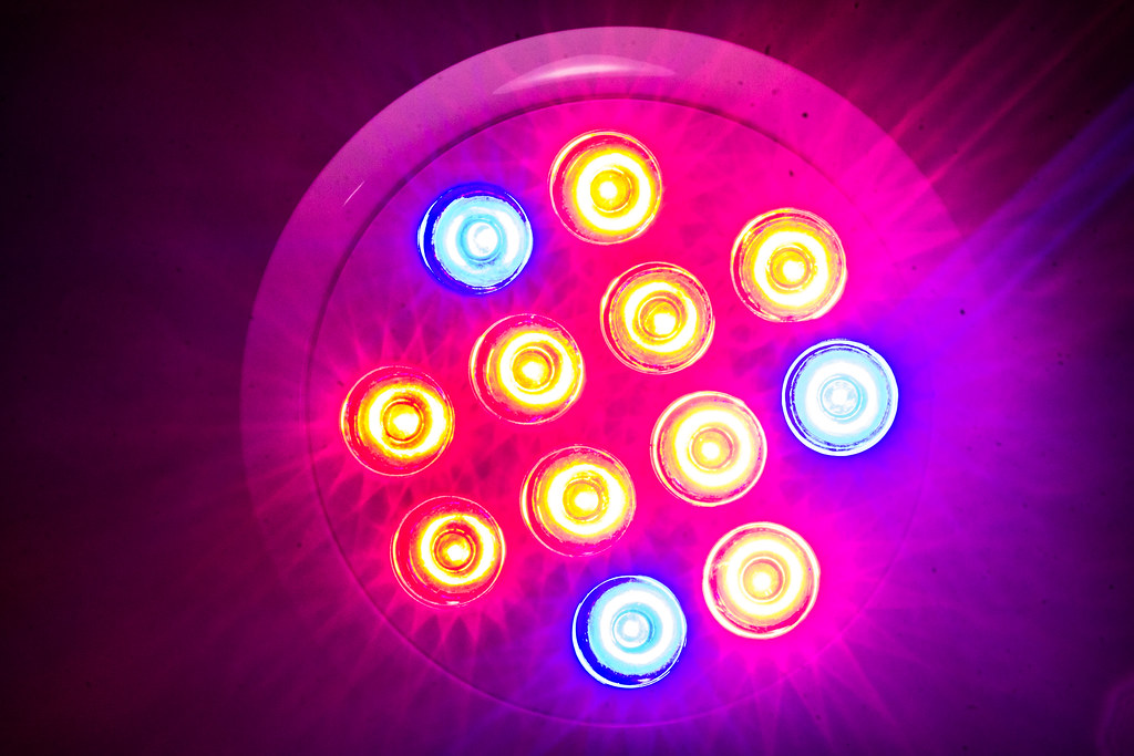 led plant light bulb