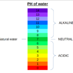 Beginner’s Guide to Monitoring Hydroponic Water: pH and PPM Made Simple monitoring water
