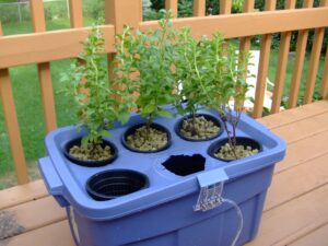 DIY hydroponic system for small apartments