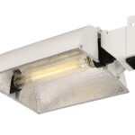 Complete Guide to MH & HPS Grow Lights for Hydroponics MH & HPS Grow lights